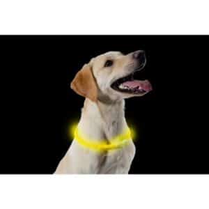 Ancol High Visibility Halo Safety Band Yellow Flashing Dog Collar One Size