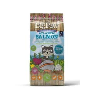 Little BigPaw Atlantic Salmon Complete Dry Food for Senior Cats 1.5kg