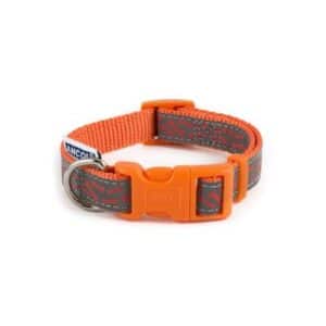 Ancol Indulgence Fashion Orange Bone Adjustable Dog Collar Small